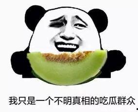 老当吃瓜群众,见证时代变迁的旁观者视角  第2张