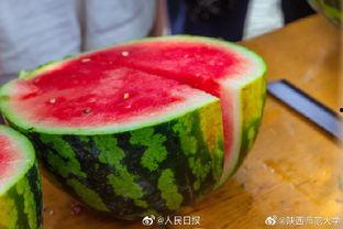 吃瓜陕西,一场吃瓜之旅的味蕾盛宴  第3张