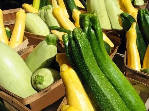 巨野吃瓜视频推荐  第2张