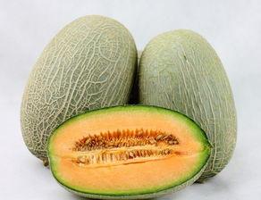 哈密瓜能与绿豆一起吃吗,哈密瓜与绿豆的搭配食用指南  第3张