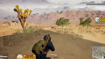 某人吃瓜,揭秘吃瓜群众的趣味生活  第1张