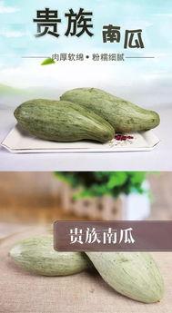 口嗨吃瓜,揭秘网络热议背后的真相与笑料  第1张