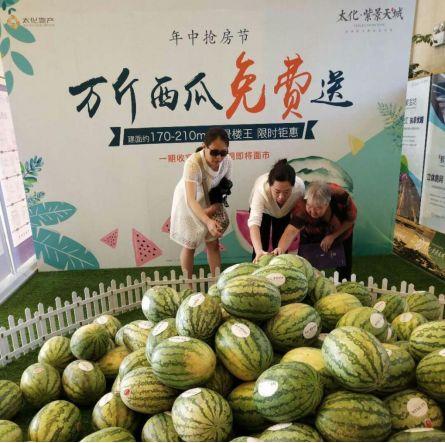 口嗨吃瓜,揭秘网络热议背后的真相与笑料  第2张