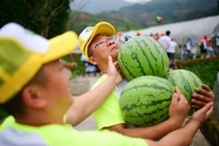 口嗨吃瓜,揭秘网络热议背后的真相与笑料  第3张