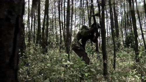 团长开局吃瓜被  第1张