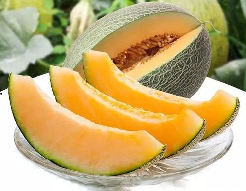 瓜州6月吃瓜  第1张