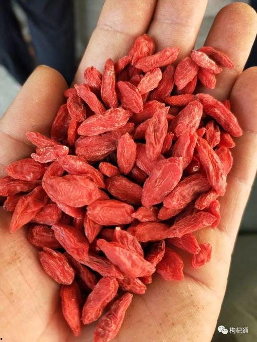 瓜州6月吃瓜  第3张