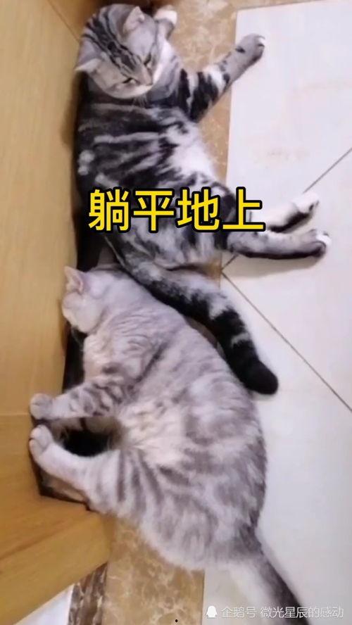 吃瓜更躺平  第3张