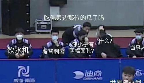 国乒吃瓜主场,吃瓜群众见证辉煌时刻  第2张