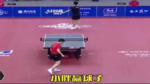 国乒吃瓜主场,吃瓜群众见证辉煌时刻  第3张