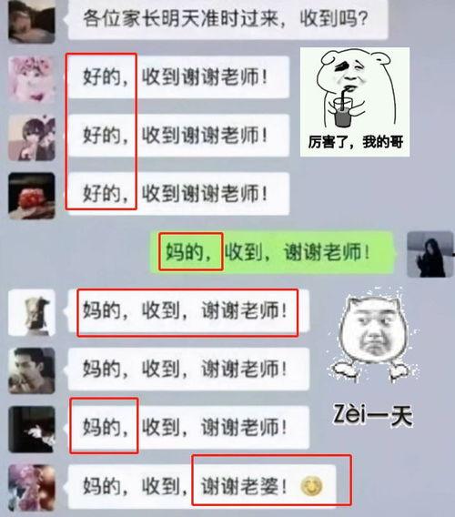 吃瓜群q码,一场网络社交的狂欢盛宴  第3张