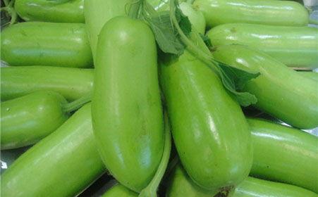 吃蒲瓜后吐泻,吃后吐泻的警示与应对  第1张