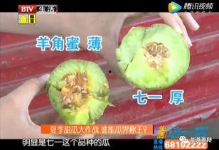 懒人吃瓜的好处,轻松享受娱乐盛宴的秘诀  第3张