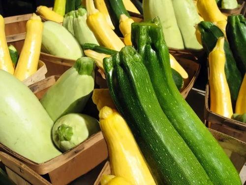 吃太多瓜想吐,吃太多瓜想吐的应对攻略  第1张