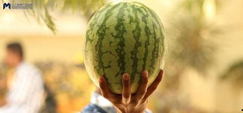 最近网友吃瓜事件,最新吃瓜事件，揭秘幕后真相！  第3张