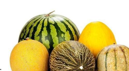 吃蓝瓜有些什么好处,揭秘吃蓝瓜的五大好处  第1张