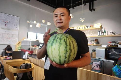 各官员吃瓜  第2张