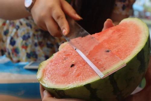 各官员吃瓜  第3张