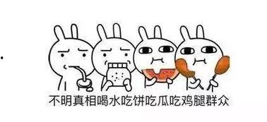 吃瓜欠钱,揭秘娱乐圈背后的债务风波  第1张