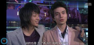 城市猎人吃瓜,揭秘吃瓜背后的秘密世界  第2张