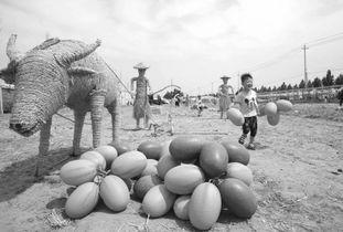 武陟的吃瓜视频,揭秘当地特色美食背后的故事  第1张