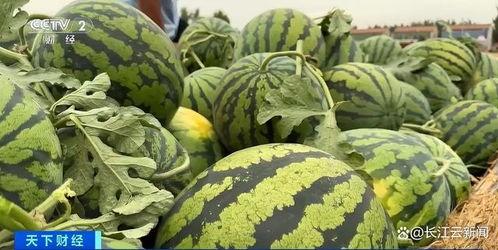 吃瓜网热门,揭秘娱乐圈最新热点事件  第1张