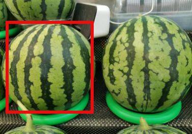 吃瓜网热门,揭秘娱乐圈最新热点事件  第3张