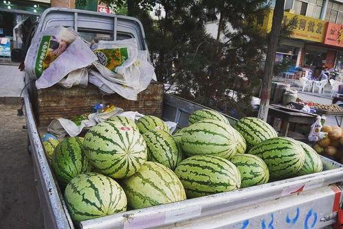 吃瓜最新玩法大全,吃瓜达人必看！最新玩法大全揭秘  第3张