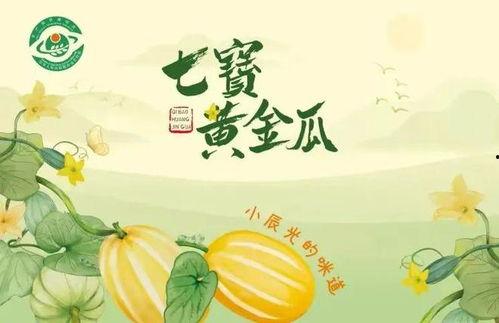 月下吃瓜人作品,揭秘都市生活背后的秘密  第1张