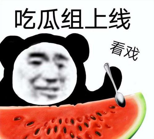 带你吃瓜奇葩壁纸,带你领略“带你吃瓜奇葩壁纸”的独特魅力  第2张