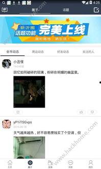 吃瓜发疯的社交软件,社交软件背后的狂欢与争议  第3张