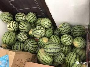 今日吃瓜大赛有啥瓜 第3张 今日吃瓜大赛有啥瓜 第3张