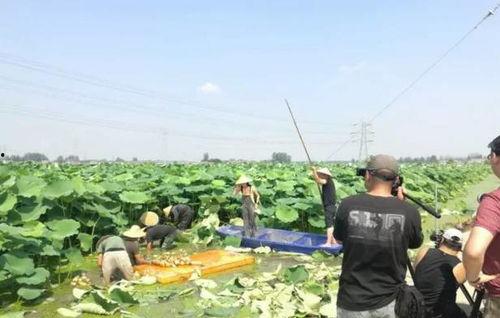 盐城技师操场吃瓜  第2张