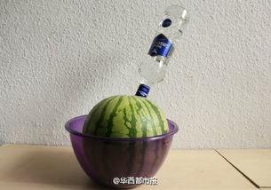 带你吃瓜驾照,带你领略驾照背后的趣味故事 第1张 带你吃瓜驾照,带你领略驾照背后的趣味故事 第1张