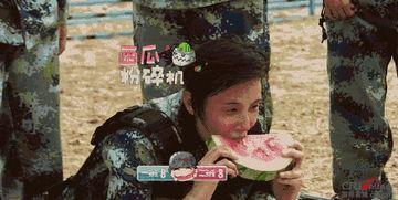 带你吃瓜驾照,带你领略驾照背后的趣味故事 第2张 带你吃瓜驾照,带你领略驾照背后的趣味故事 第2张