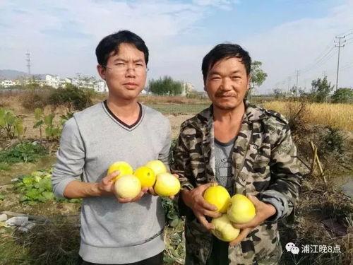 吃瓜有什么气质,揭秘吃瓜群众的独特气质  第3张