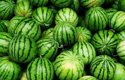 夏天吃四瓜都啥瓜,西瓜、黄瓜、苦瓜、冬瓜，清凉一夏！  第1张