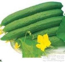 夏天吃四瓜都啥瓜,西瓜、黄瓜、苦瓜、冬瓜，清凉一夏！  第3张