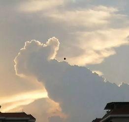 西方天空吃瓜视频,揭秘吃瓜视频背后的娱乐真相  第3张