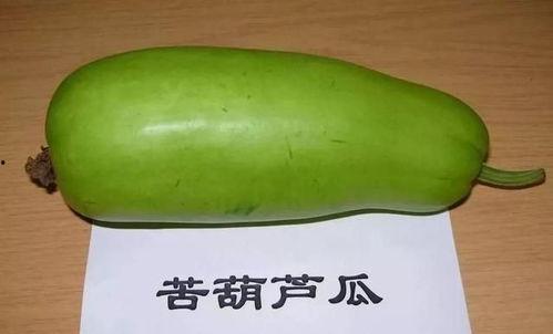 哪种葫芦瓜可吃  第2张