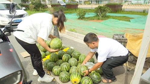 吃瓜12元,一场味蕾与价格的较量  第2张