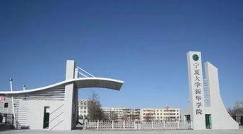 宁夏大学新华学院吃瓜,揭秘校园“吃瓜”文化现象  第1张